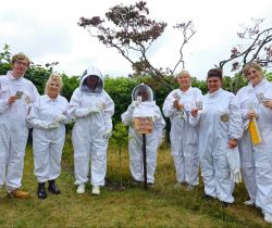 People beekeeping